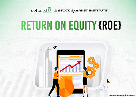 RETURN ON EQUITY ( ROE )